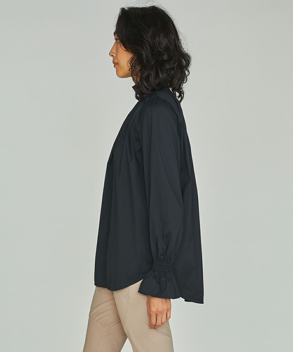 DSC /スタンドカラーフリルブラウス TOPS Night STORE | ダブル 