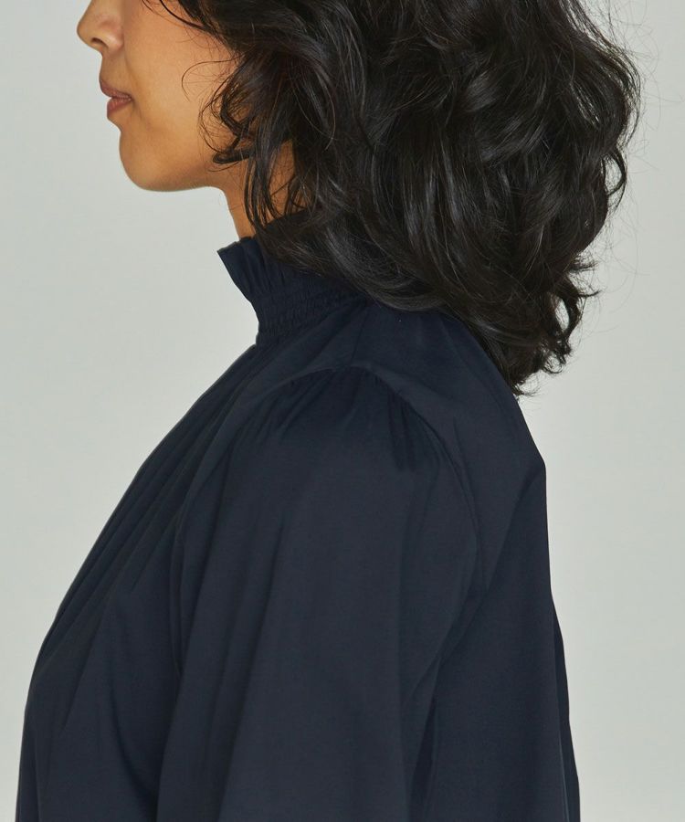 DSC /スタンドカラーフリルブラウス TOPS Night STORE | ダブル