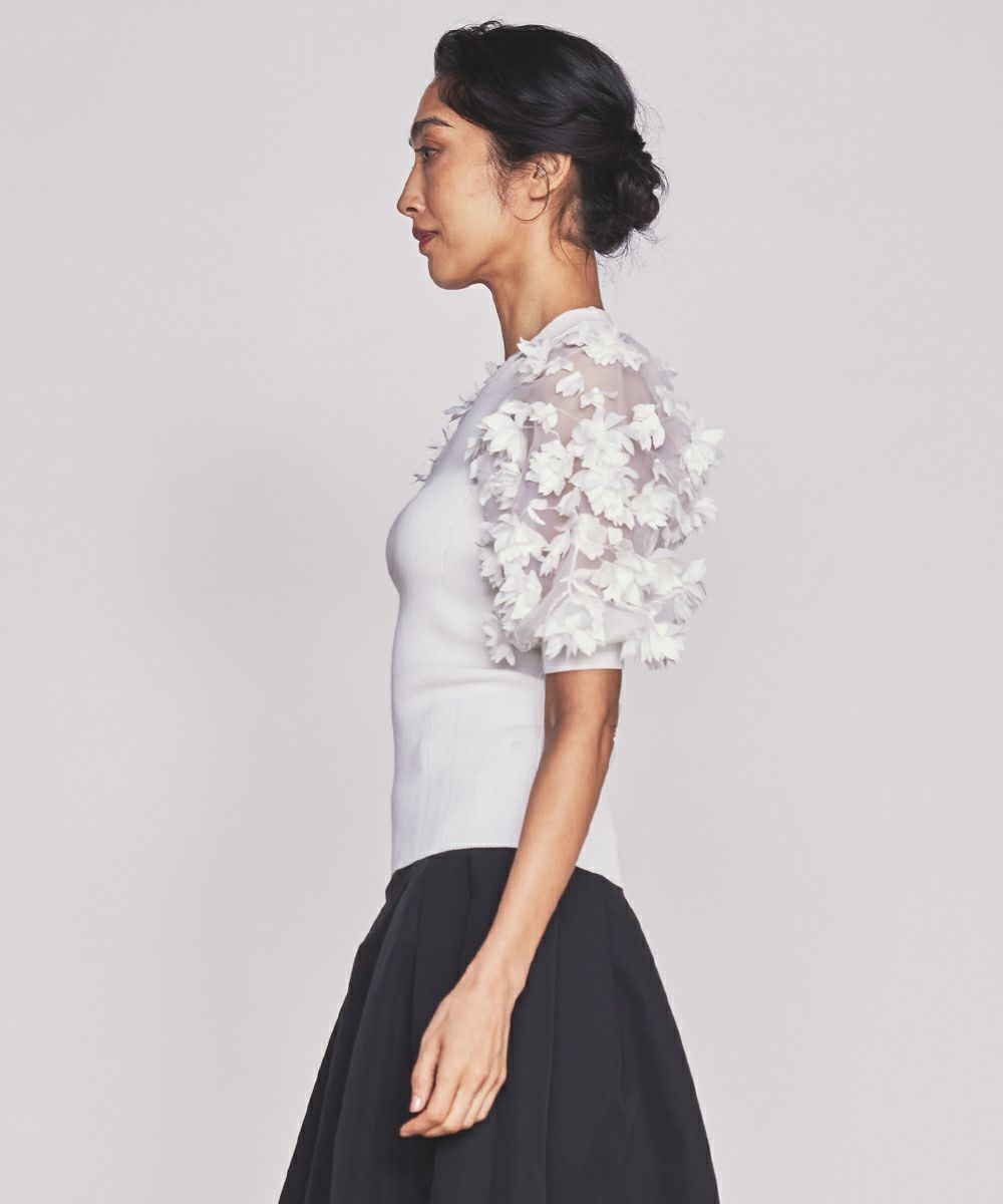 000000012412-21-l.jpg?t=  