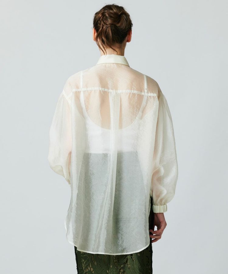 DSC / ボウタイシアーシャツ(WEB限定)(SALE) TOPS Night STORE