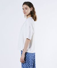 DSC / ロープベア裏毛Tシャツ TOPS Night STORE | ダブルスタンダード