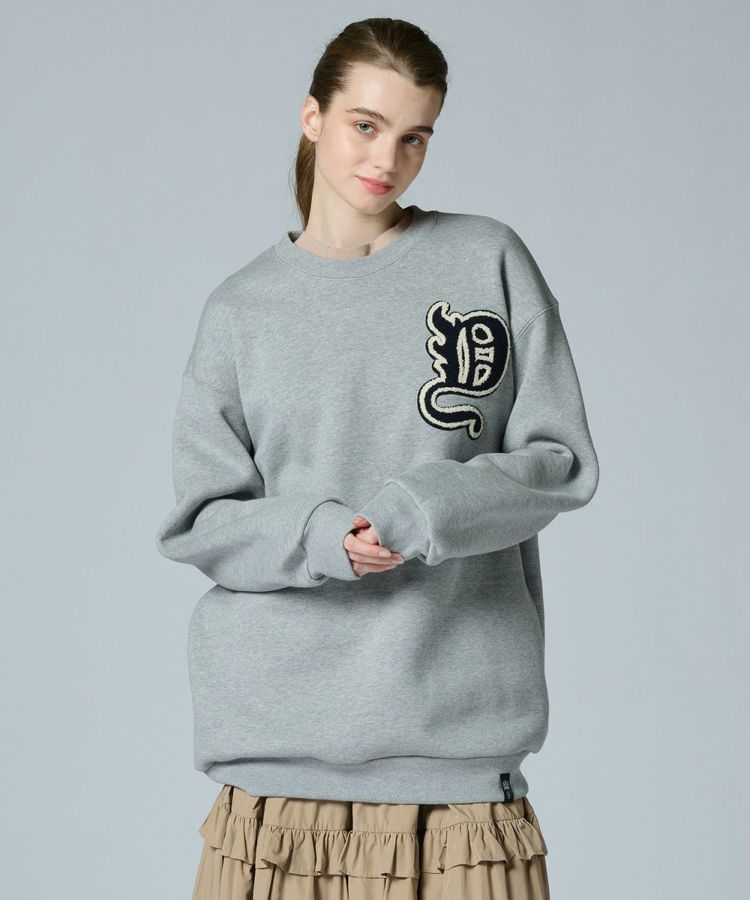 DSC / Dワッペン 裏起毛プルオーバー(WEB限定) TOPS Night STORE